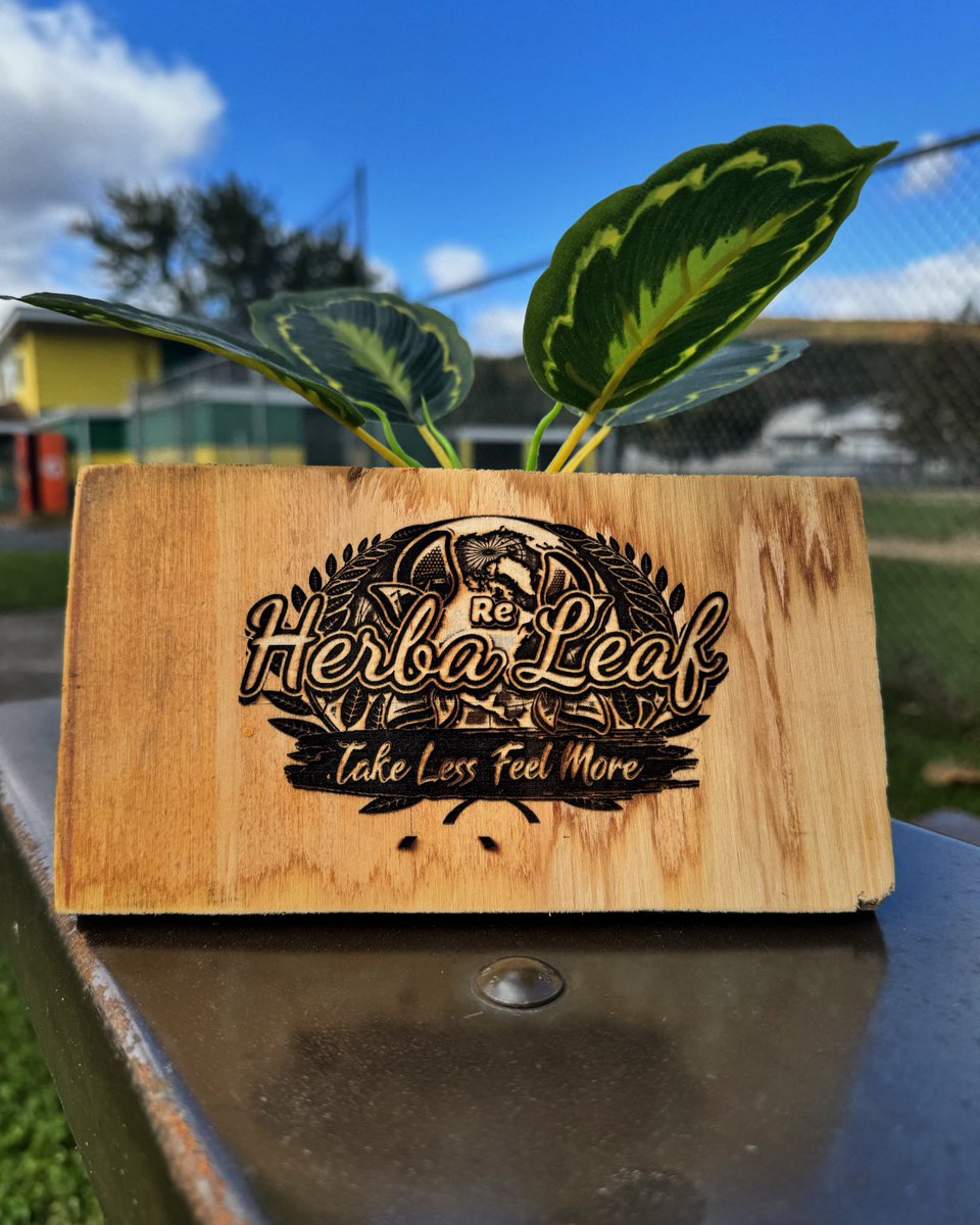 HerbaPumps's tweet image. Are you prepared to enhance your natural wellness journey?

This October, explore the advantages of “Taking Less” and “Feeling More” with our innovative botanical products!

linktr.ee/Herba_ReLeaf

#herba #herbareleaf #herbapumps #herbapumpsdotcom #botanicals #kr8om