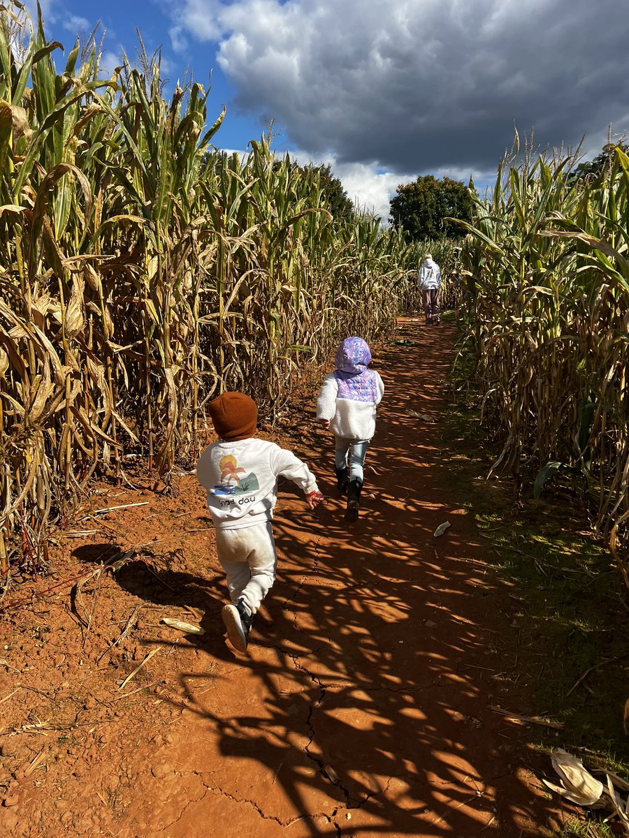 CaitlinWaltrip's tweet photo. Always a fun time at #PattersonFarms ๐๐ชต๐งก #fall2024 https://t.co/DNBHgQdo5S
