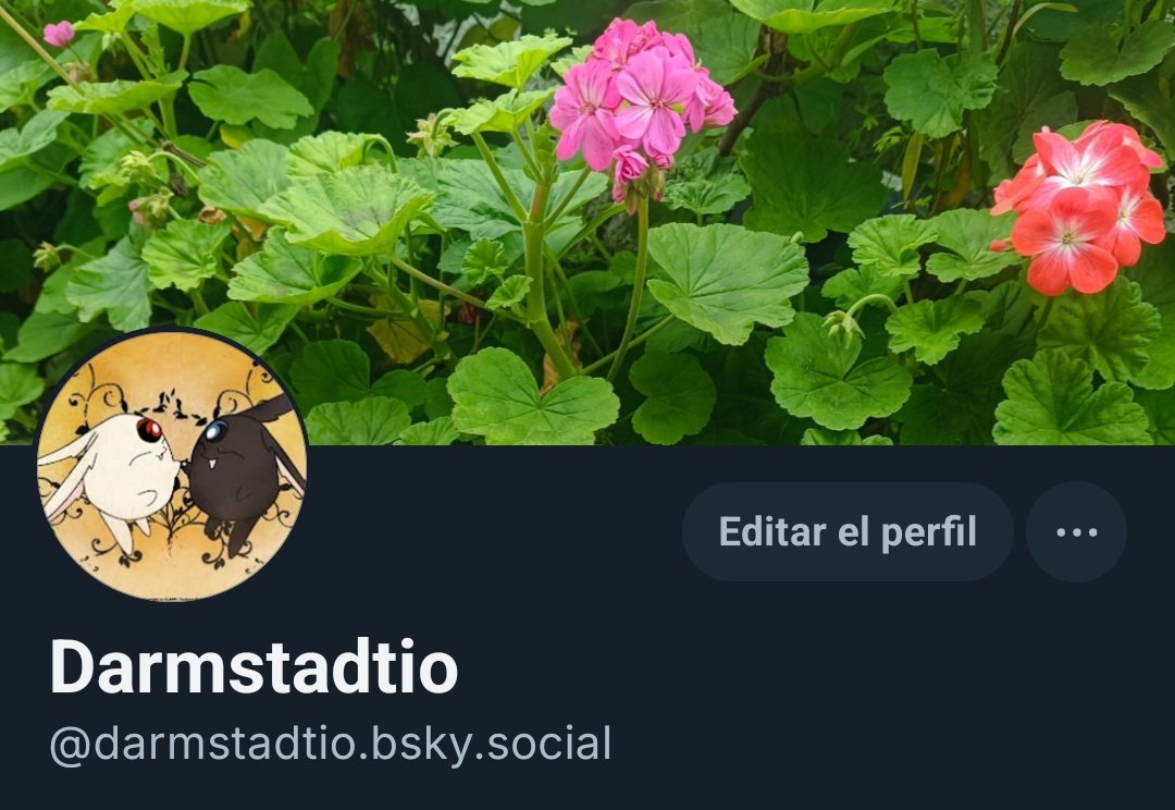 🐸🐈 Shinku 🍎🍰 tweet media