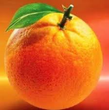 mwitikem's tweet photo. is an ODM a party or a lynch mob? https://t.co/YppBzudEqy