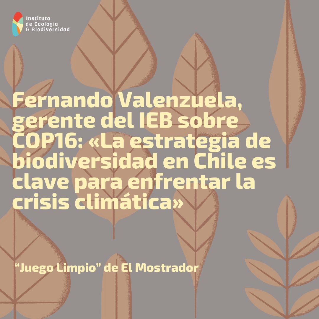 IEBChile's tweet photo. 🌿En el marco de la próxima #COP16, nuestro gerente Fernando Valenzuela, @fevalenz conversó con @elmostrador sobre la Estrategia Nacional de Biodiversidad, las metas30x30 y los avances en gestión y conservación de la biodiversidad.
Detalles en #JuegoLimpio
https://t.co/yHcd2cMfkS https://t.co/0uJJDDHA8r