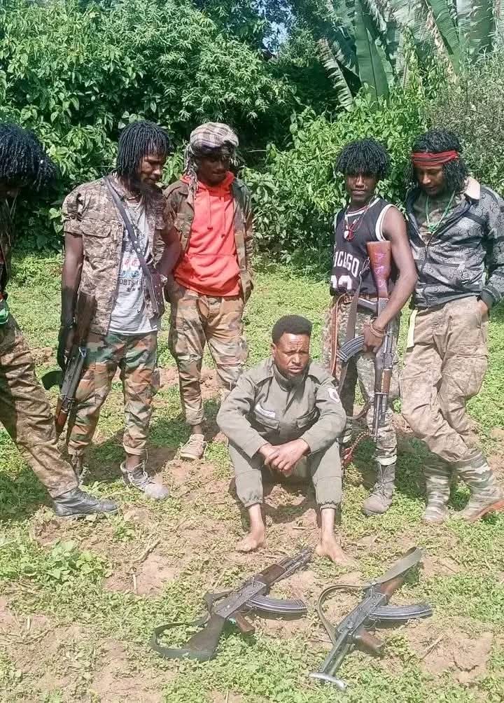 OROMIANIST's tweet photo. Dhiite kufaa
Fiige dhufaa

#OLA ✊ https://t.co/AoIzl5jfCQ