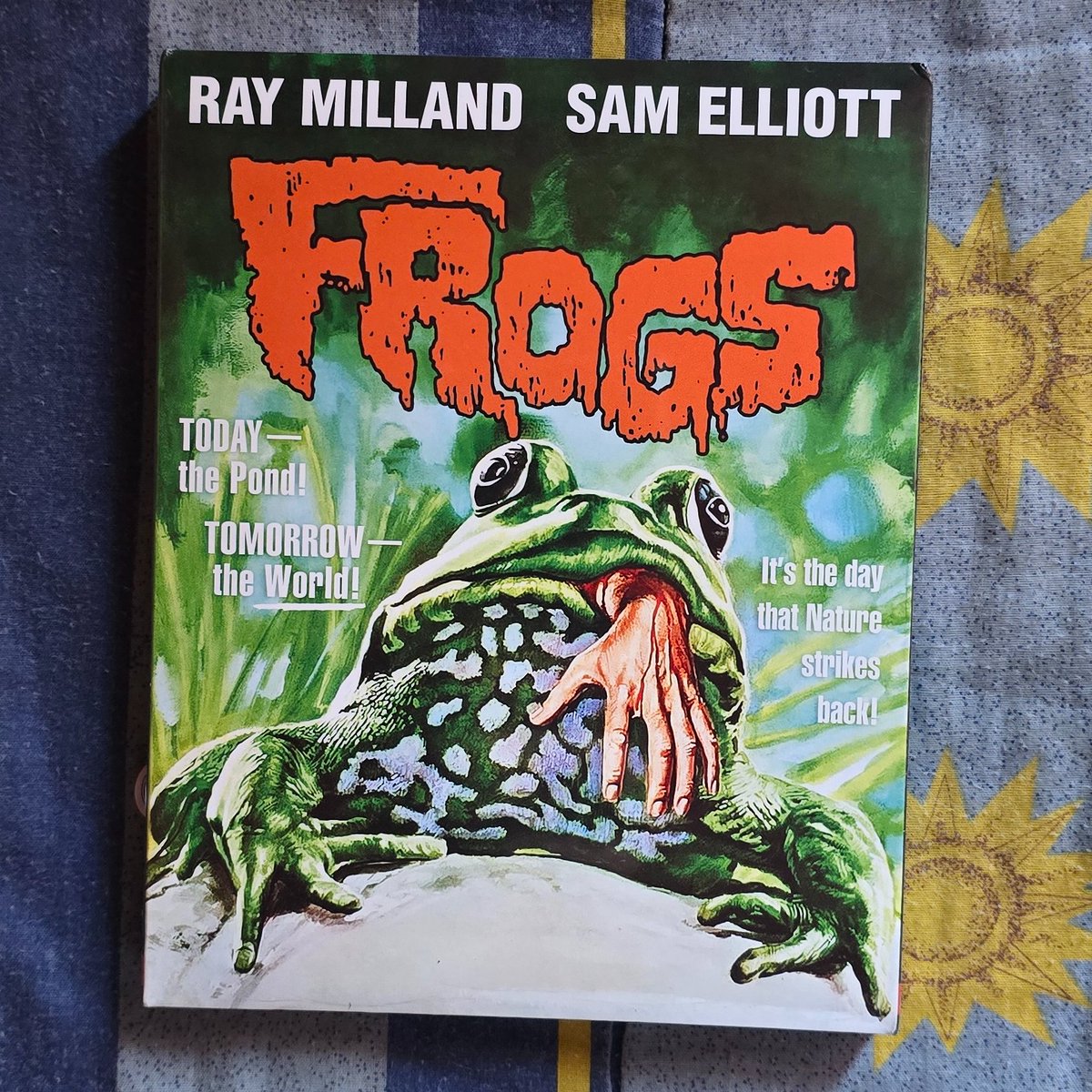 ajl__66's tweet image. Day 17 of 31 Days Of Terror - Frogs (1972) #RayMilland #SamElliott #JoanVanArk #31DaysOfTerror