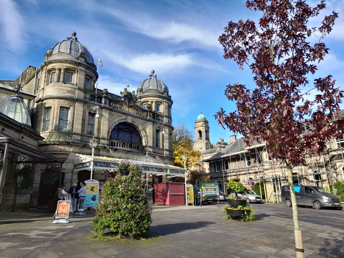 DiscoverBuxtonBrolly tweet media