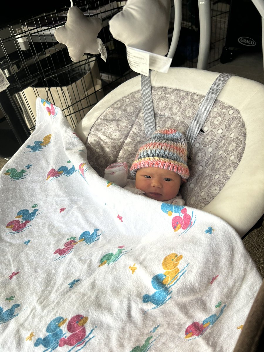 AronSparrow's tweet photo. Ohhhh #baby life is good. We’re all home and doing great. https://t.co/meA4UGs9ii
