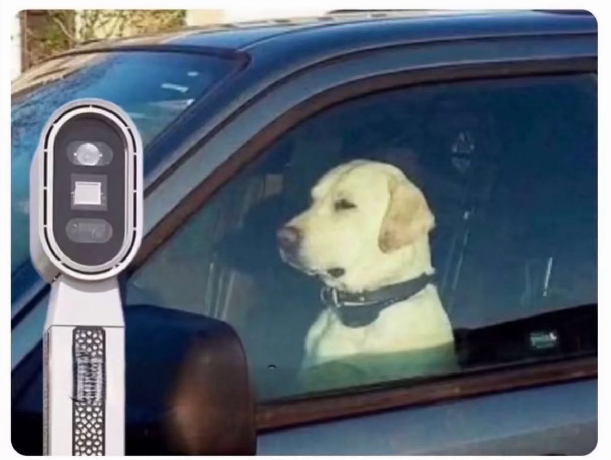 براك احمد بوعركي tweet media