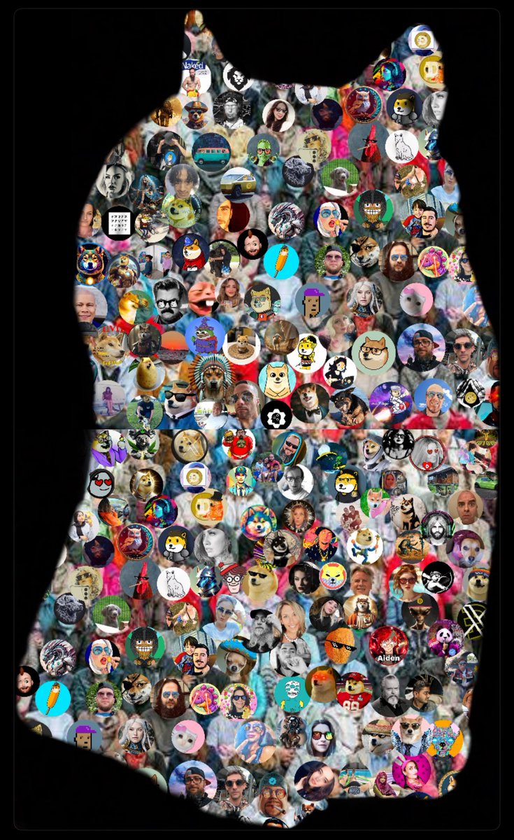 JoeyDoge42069's tweet photo. If you see your pfp comment #DogecoinToTheMoon🐕🚀🚀 https://t.co/VLHg1Eoax2