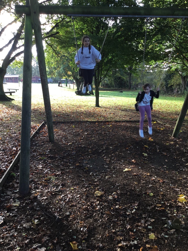 Mount Pleasant Primary School tweet media