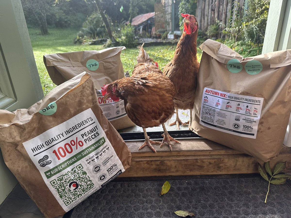 WildlifeKate tweet media