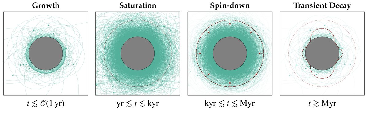 All active #NeutronStars should be surrounded by dense #AxionClouds if the axion has a mass in a specific range. This occurs because the polar caps of neutron stars produce axion clouds that are bound to the star and struggle to dissipate energy.

🔗 go.aps.org/4hbgocF
