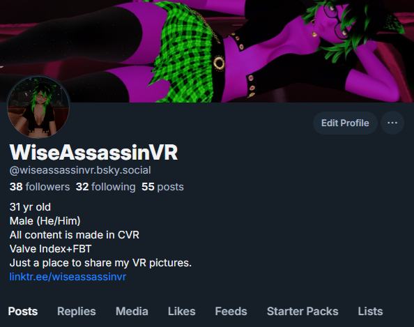 WiseAssassinVR tweet media