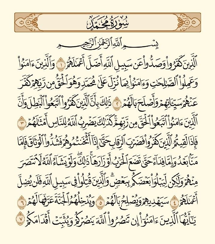 Hasnaahajri's tweet photo. https://t.co/xQIBaa5vkV