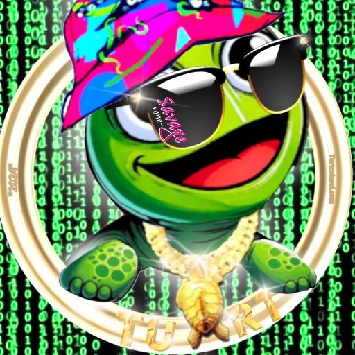 @cryptolatina111 Thank gooooodnesss for the playback feature for recorded spaces SHEEEEESH I'm a IRL $TURT in every sense 🤣🤣🤣