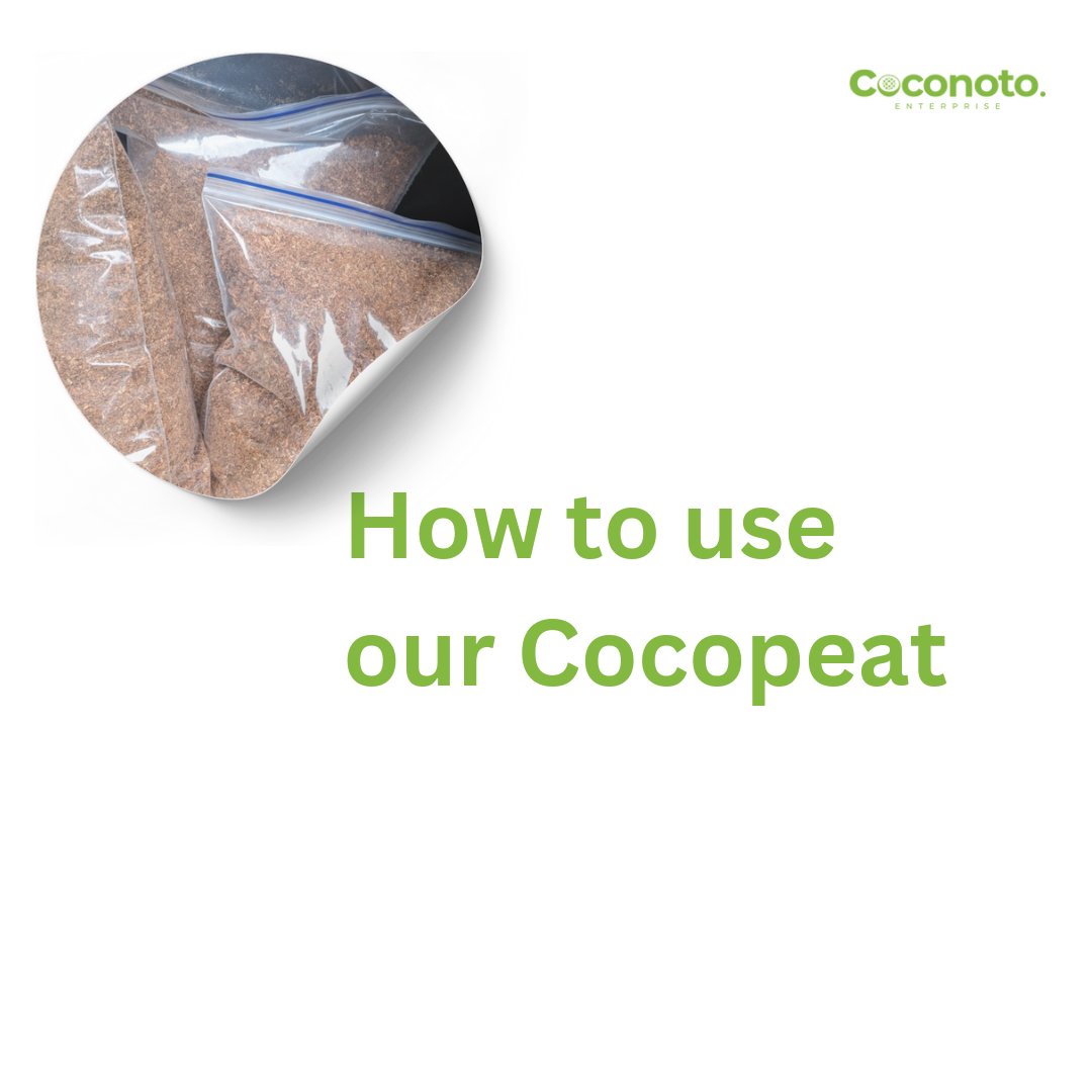 yanmifejacob's tweet photo. We produce Cocopeat at Coconoto with the husk waste gotten from farmers we dehusk for and we convert this husk into peat and fiber.
#farmers #soiless #hydroponics #coconut https://t.co/ZJDzjFEVf9