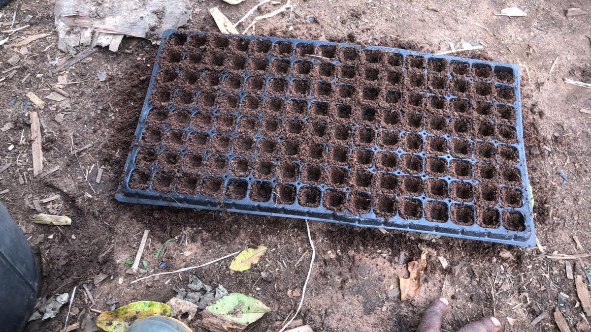 yanmifejacob's tweet photo. We produce Cocopeat at Coconoto with the husk waste gotten from farmers we dehusk for and we convert this husk into peat and fiber.
#farmers #soiless #hydroponics #coconut https://t.co/ZJDzjFEVf9