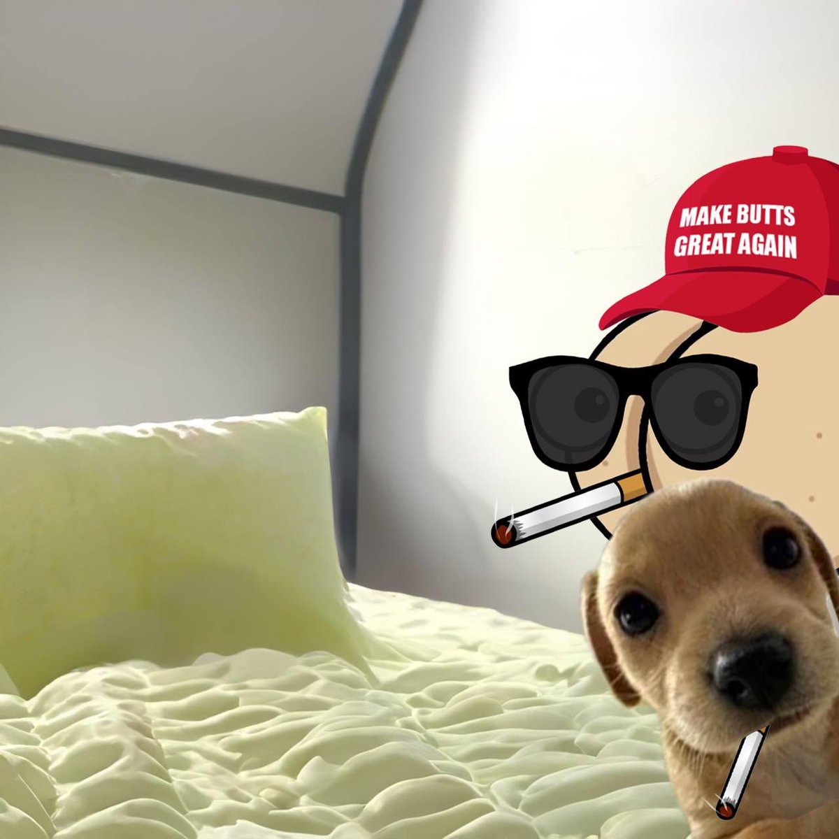 cigbuttcoin's tweet photo. @billycoinsolana @bsol_x I got you Billy https://t.co/fMTkYgtawm