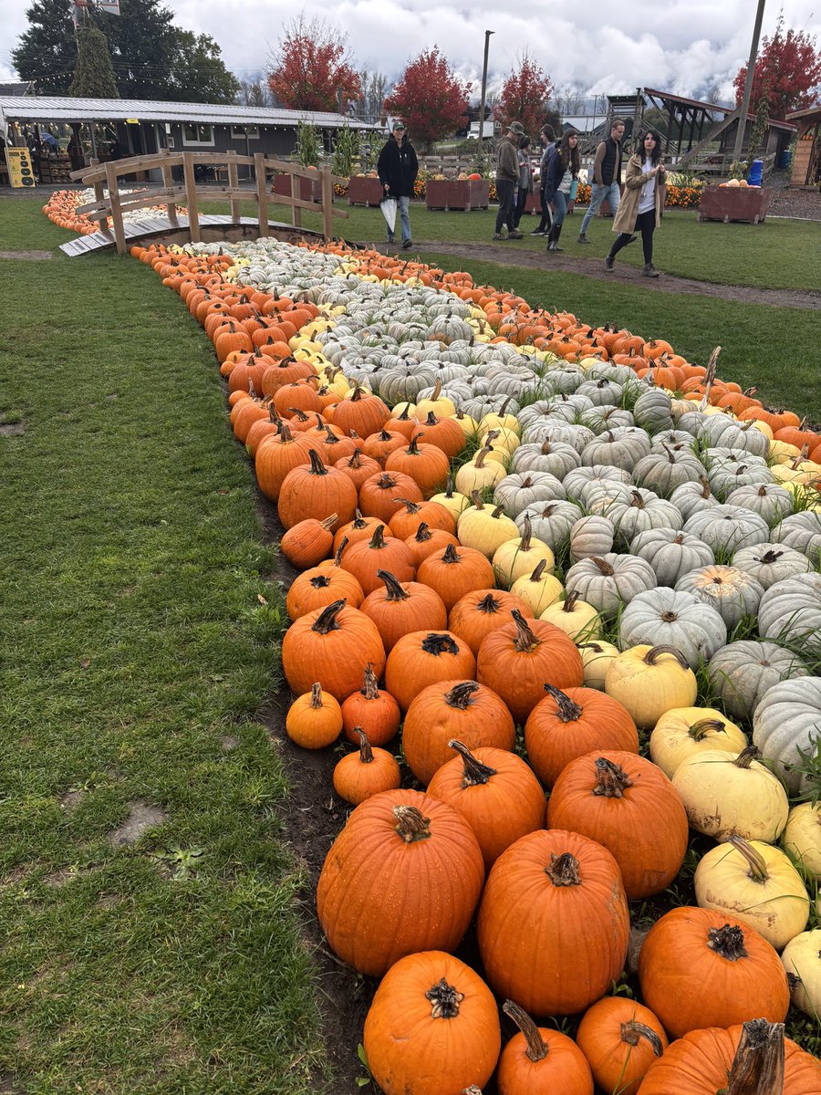 Bakerview Centre for Learning tweet media