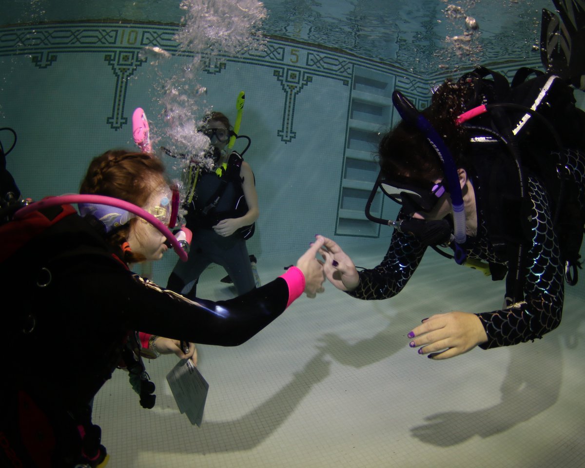 Diversinc's tweet image. Plan for summer now! Get your PADI Open Water certification this fall or winter. 

Flexible scuba classes running year-round, so you can dive into adventure when the weather warms up. ❄️🐠 

#ScubaDiving #LearnToDive #OpenWaterDiver