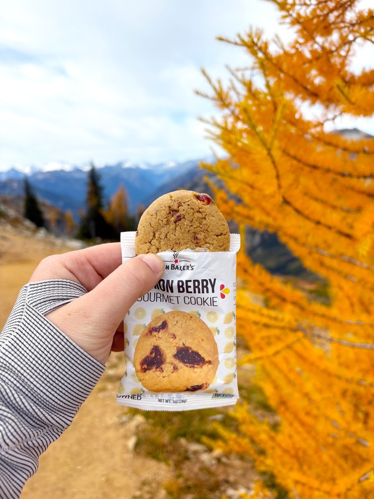 erinbakers's tweet photo. It's ✨#Larch Season✨, these conifers light up the landscape with their golden needles in the fall before shedding them for the winter. There's only a short window to witness this transformation, so be sure to get out there soon! Don't forget your favorite trail cookies! https://t.co/cWXUttt9TD