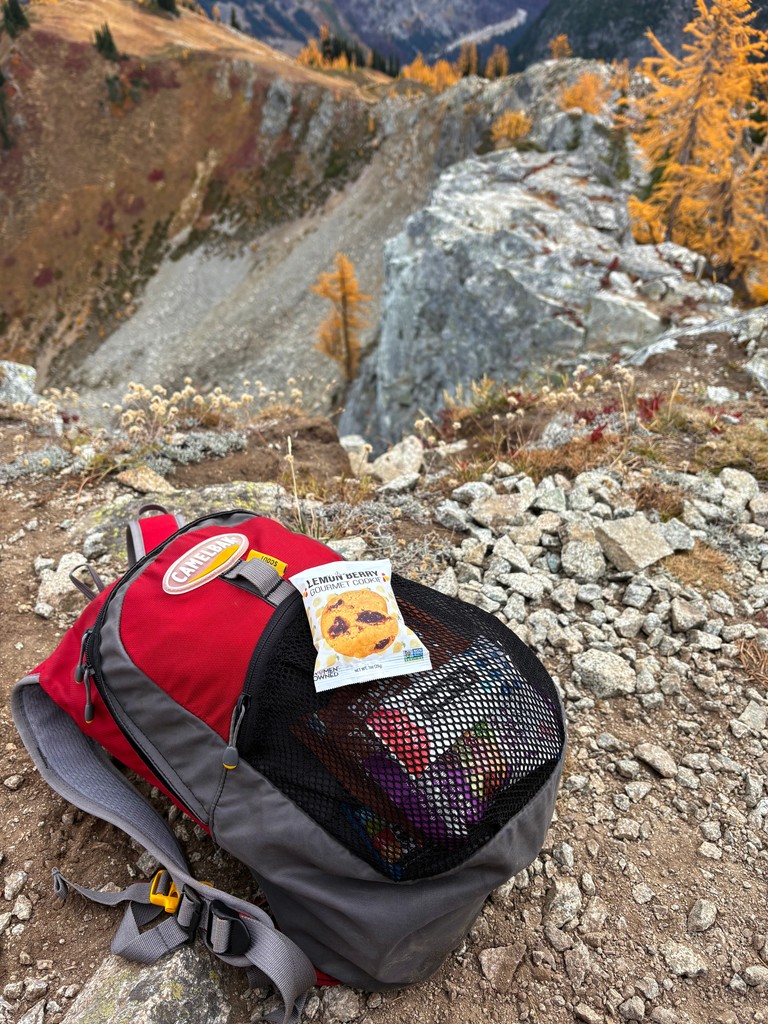 erinbakers's tweet photo. It's ✨#Larch Season✨, these conifers light up the landscape with their golden needles in the fall before shedding them for the winter. There's only a short window to witness this transformation, so be sure to get out there soon! Don't forget your favorite trail cookies! https://t.co/cWXUttt9TD