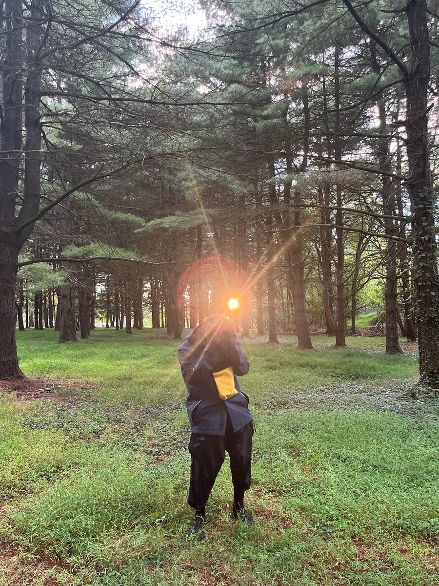 Colliding With Mars tweet media