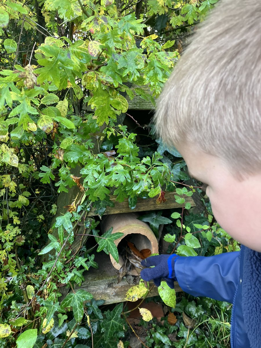 gilwern_school's tweet photo. #GilwernYear1 have been exploring our school grounds to see how we can look after them by using our value of Respect . We picked up litter, tidied toys and replenished our bug hotel. #OutdoorLearning #Hum #GilwernValues @_OLW_ https://t.co/MGmsUMMnJ7