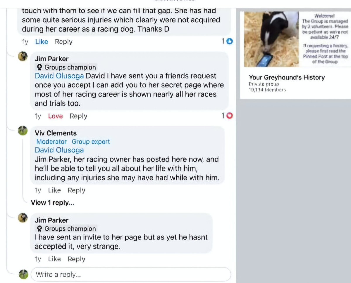 Not your typical anti (worldwide) tweet media