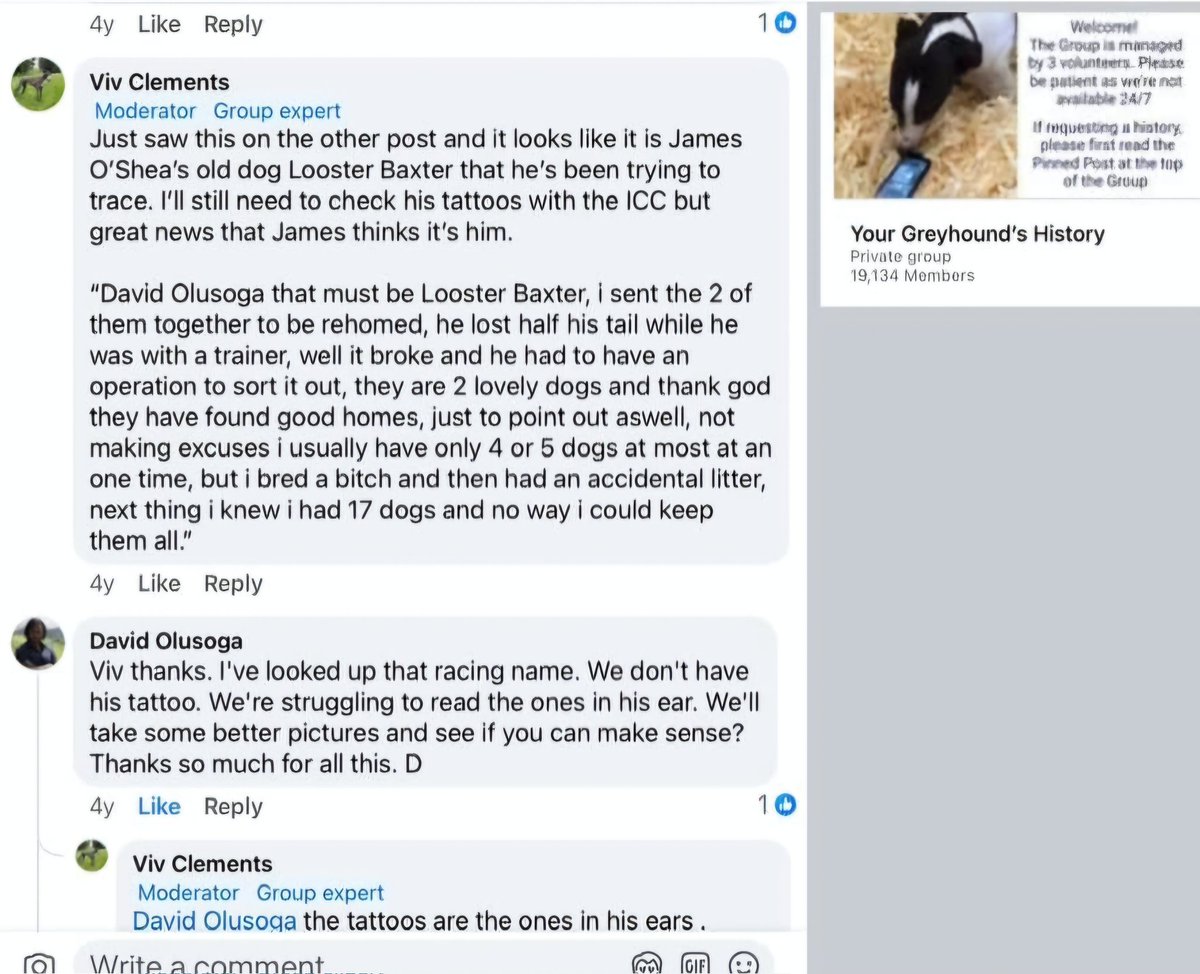 Not your typical anti (worldwide) tweet media