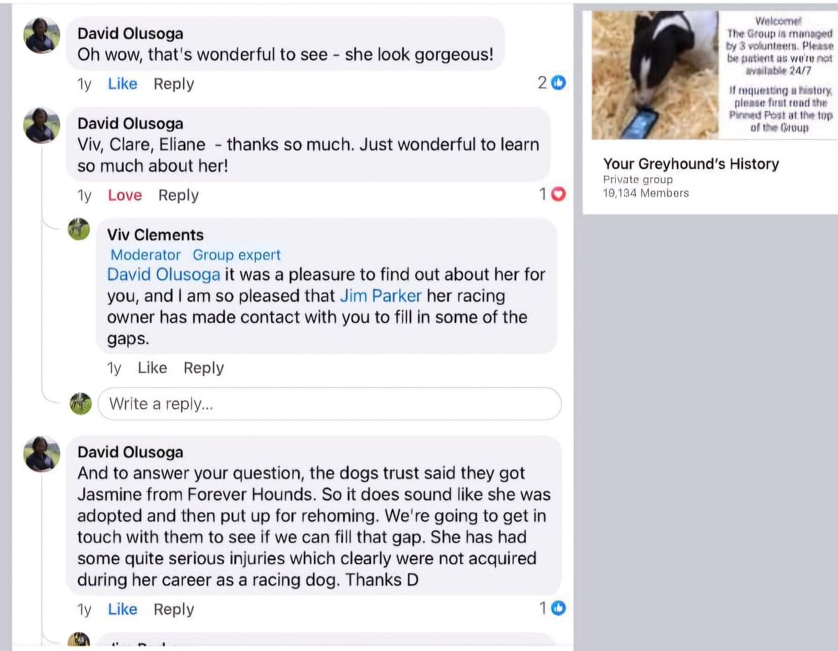 Not your typical anti (worldwide) (@notatypicalanti) on Twitter photo So @<a href="/DavidOlusoga/">David Olusoga</a> was telling <a href="/GMB/">Good Morning Britain</a> how all of his greyhounds had physical and mental scars due to racing.
Not all of them apparently. So @<a href="/DavidOlusoga/">David Olusoga</a> was telling <a href="/GMB/">Good Morning Britain</a> how all of his greyhounds had physical and mental scars due to racing.
Not all of them apparently.