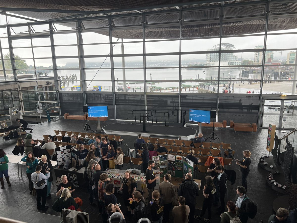 HarryHiscox's tweet photo. Honored to be part of this event at the #Senedd where we raised the importance of young peoples’ voices on nature and environmental issues in Wales! 🏴󠁧󠁢󠁷󠁬󠁳󠁿 Amazing to engage with politicians incl. @huw4ogmore  and environmental groups like @TirNatur and @WTWales https://t.co/djhST3xqXD