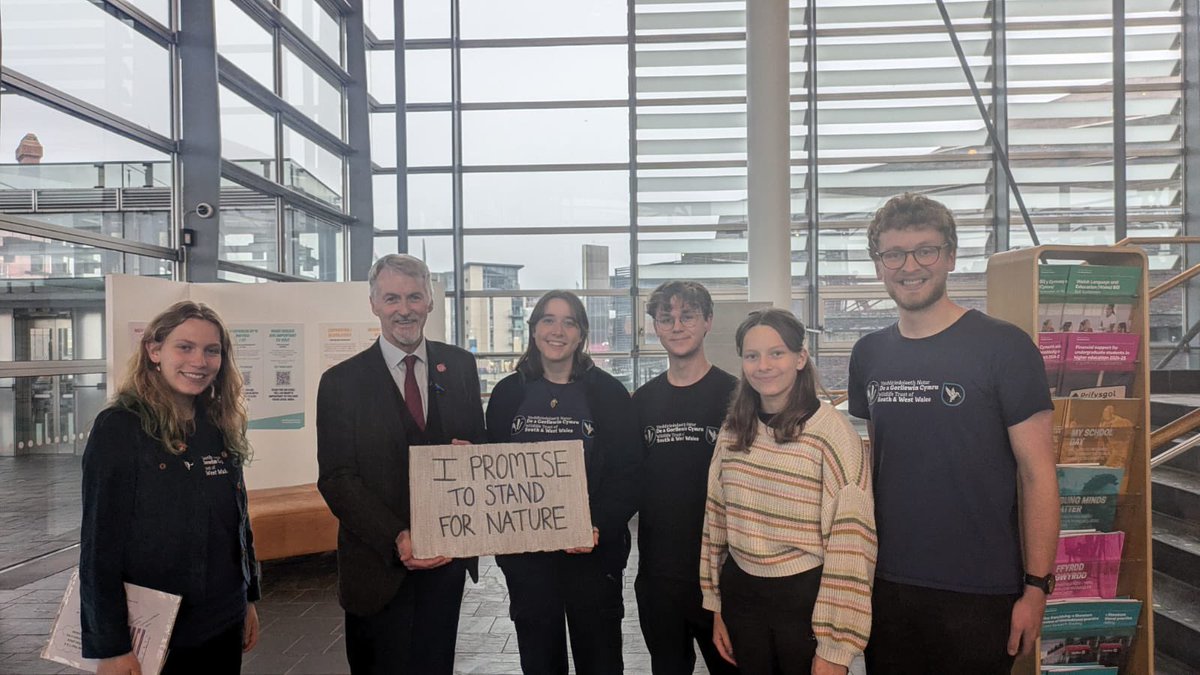 HarryHiscox's tweet photo. Honored to be part of this event at the #Senedd where we raised the importance of young peoples’ voices on nature and environmental issues in Wales! 🏴󠁧󠁢󠁷󠁬󠁳󠁿 Amazing to engage with politicians incl. @huw4ogmore  and environmental groups like @TirNatur and @WTWales https://t.co/djhST3xqXD
