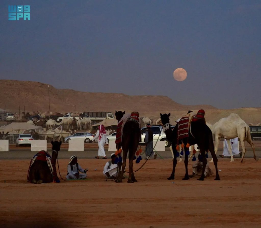 أخبار السعودية tweet media