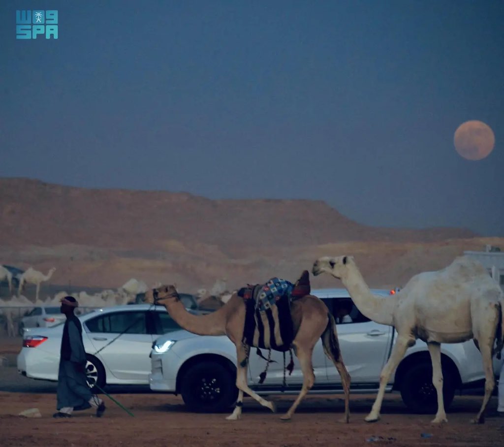 أخبار السعودية tweet media