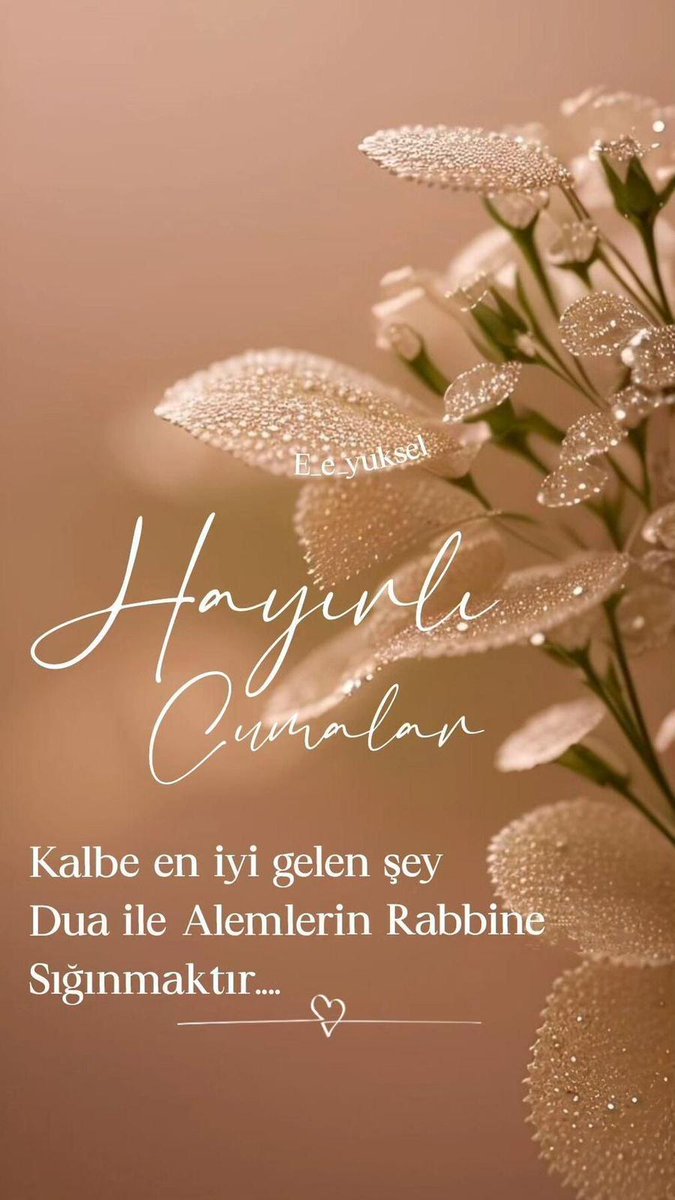 BekirBercin's tweet photo. https://t.co/XPS2YEvuGs