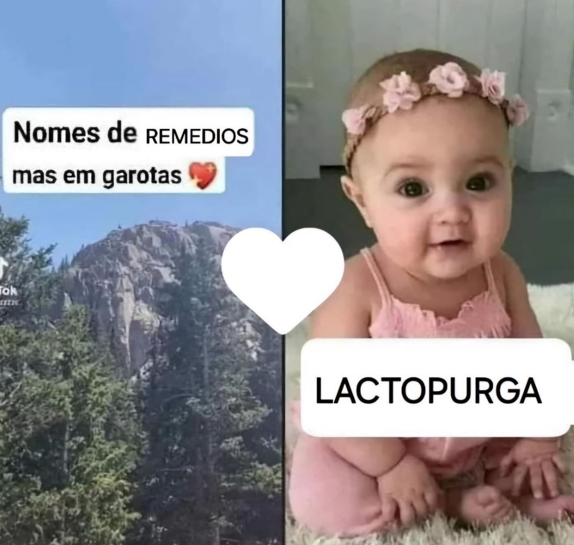 shitpostverdade's tweet image. 