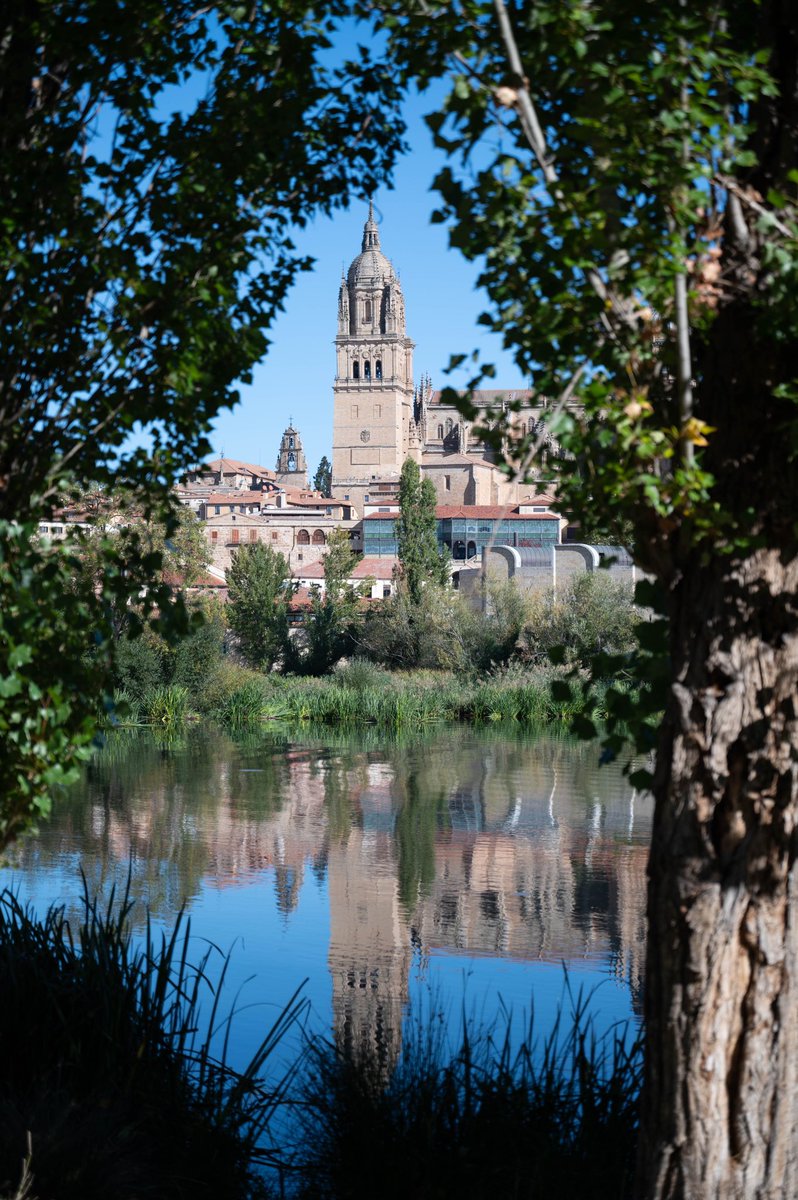 teterfraile's tweet photo. Catedral de Salamanca … 😍😍😍
#salamanca #españa #arquitectura #monumento #turismo #patrimonio #patrimoniocultural 
#fotografia #photo #photography #patrimoniohistorico #patrimoniodelahumanidad
#nikonz6ii https://t.co/HR2G1Tu9nA