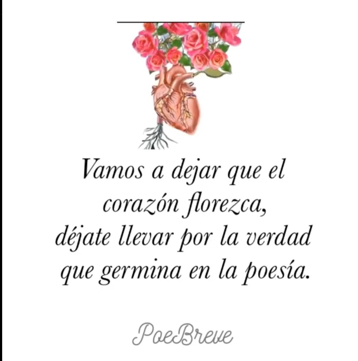 Vamos a dejar que el corazón florezca…