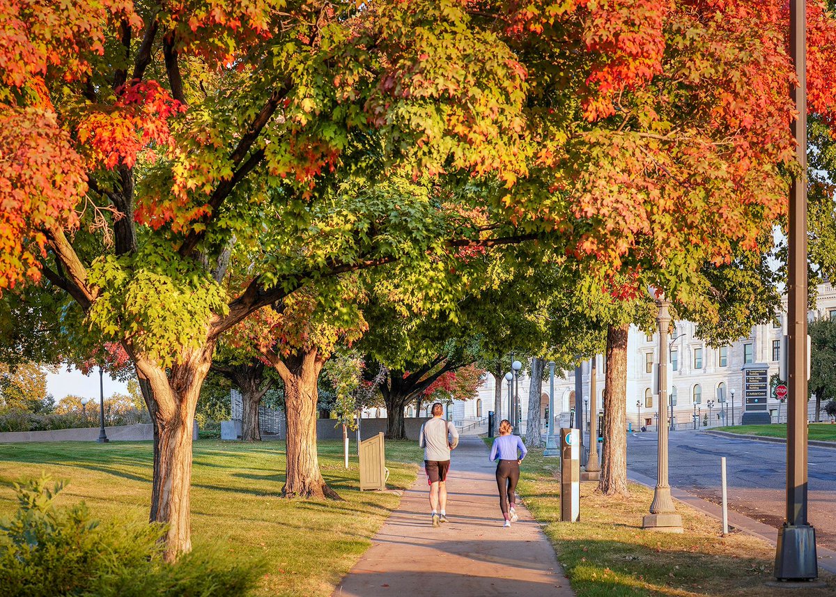 MNHouseInfo's tweet photo. Joggers pass under a canopy of fall colors on the Capitol grounds Thursday morning.

📸 Andrew VonBank

#mnleg #mnhouse #mnwx https://t.co/WXbqy2kdHc