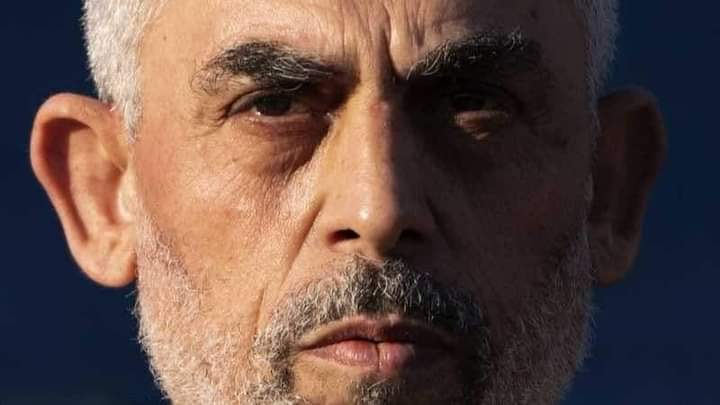 انا الان لا اري حكام العرب الان الا مجموعة خونة ليسوا برجال حتى دول الغرب النجس يدعمون الصهاينة ولا شوفنا واحد منهم هدد ولو بالكلام ما ياكد أنهم عملاء لهم