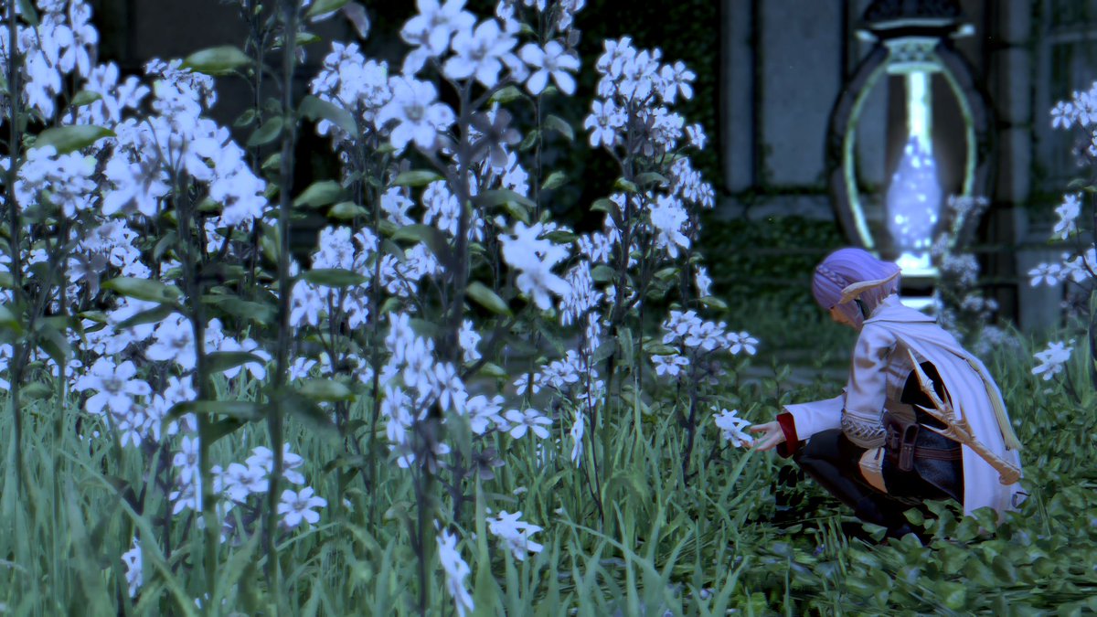 Nami Koizumi (@oflavendertides) on Twitter photo 