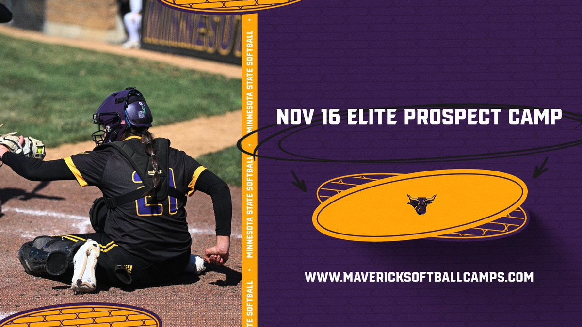 MSU Softball (@minnstsoftball) on Twitter photo 