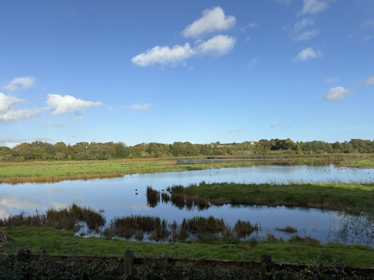 Steve Hearn (@stevesdhearn22) on Twitter photo BGM earlier. Spoonbill dropped in (see iPhone photo!) and 5 Whooper Swans flew past the hide heading north. Apparently the same birds seen at Exminster Marsh earlier. 2 Greenshank and 50+ Pintail. A Marsh Harrier from the Goatwalk <a href="/wildlife_devon/">Wildlife In Devon</a> <a href="/DevonBirds/">Devon Birds</a> <a href="/RSPBExeEstuary/">RSPB Exe Estuary & Darts Farm</a> BGM earlier. Spoonbill dropped in (see iPhone photo!) and 5 Whooper Swans flew past the hide heading north. Apparently the same birds seen at Exminster Marsh earlier. 2 Greenshank and 50+ Pintail. A Marsh Harrier from the Goatwalk <a href="/wildlife_devon/">Wildlife In Devon</a> <a href="/DevonBirds/">Devon Birds</a> <a href="/RSPBExeEstuary/">RSPB Exe Estuary & Darts Farm</a>