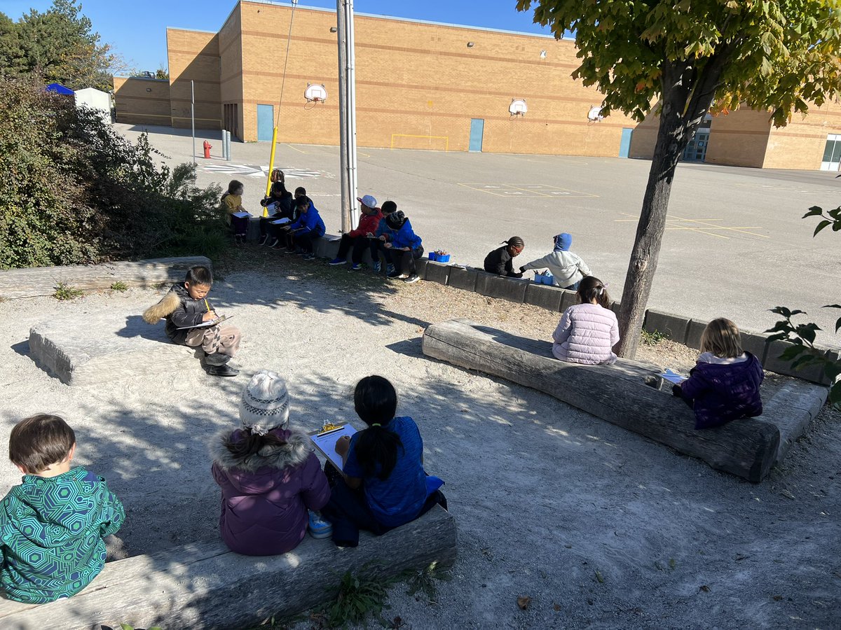 Grade 1/2 tweet media