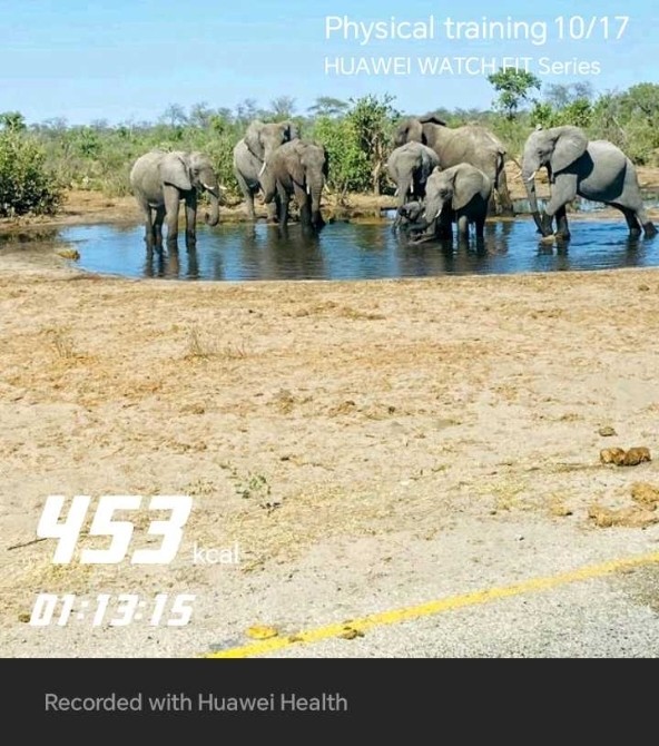 momentummemory's tweet photo. #ThrustThursday complete Feeling great and ready to snooze,remember, #HealthisWealth.Let’s keep pushing towards our goals💪 #FetchYourBody2024
Photo Credit :Me 🐘🐘 https://t.co/S620LRTGBW