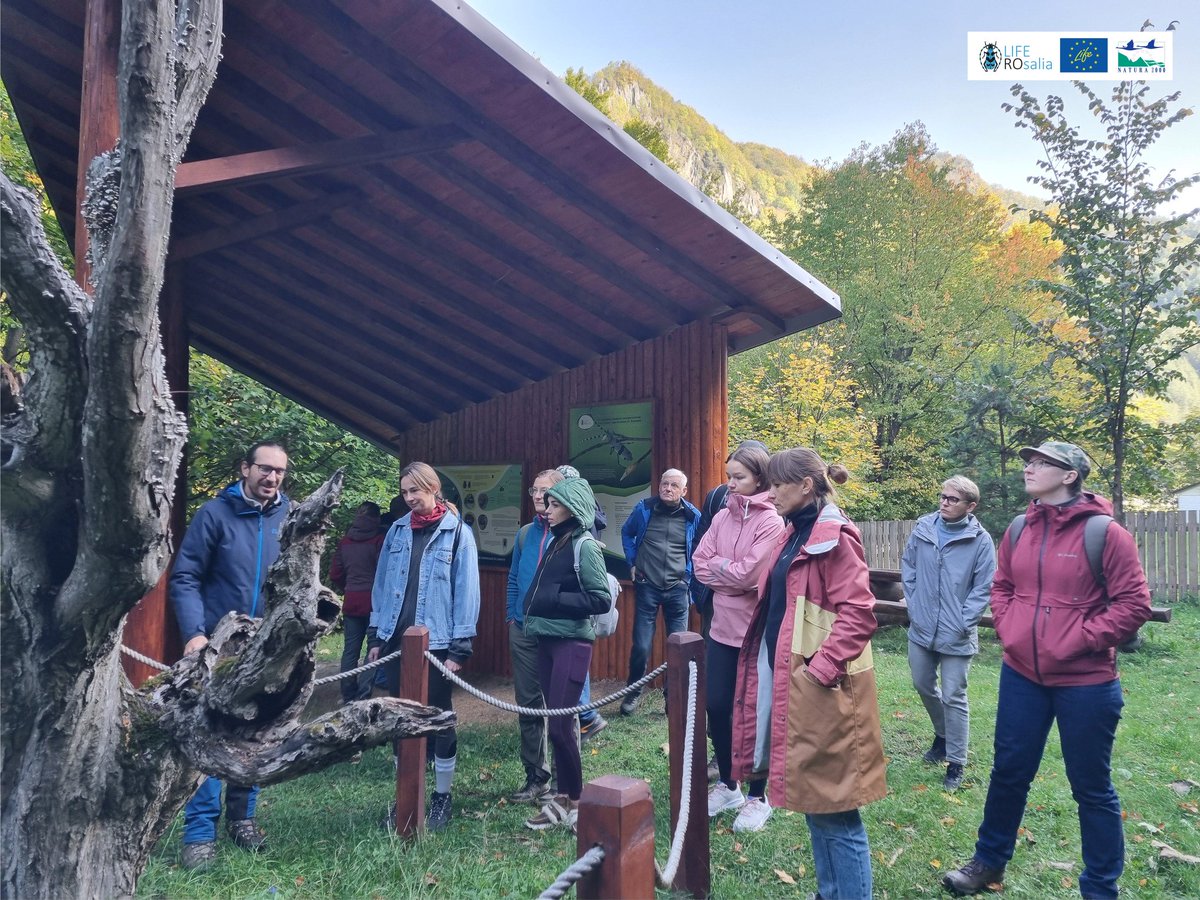LIFENatROsalia's tweet photo. Delighted to be hosts and share #LIFEROsalia project activities and results with our colleagues from Latvia and Lithuania involved in the project #LIFEOsmoBaltic (LIFE22 NAT/LT/101113698).
🤝
#nature #biodiversity #conservation
#Together4Nature
#LIFENature #LIFEProgramme https://t.co/892jgpQZYB