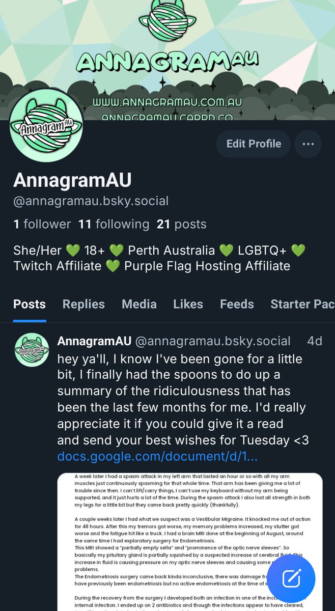AnnagramAU's tweet photo. while i sit here at the hospital waiting for half decent medical care, i figured i'd remind yall that i'm on the other blue app ❤️ https://t.co/OMRIr0azHH