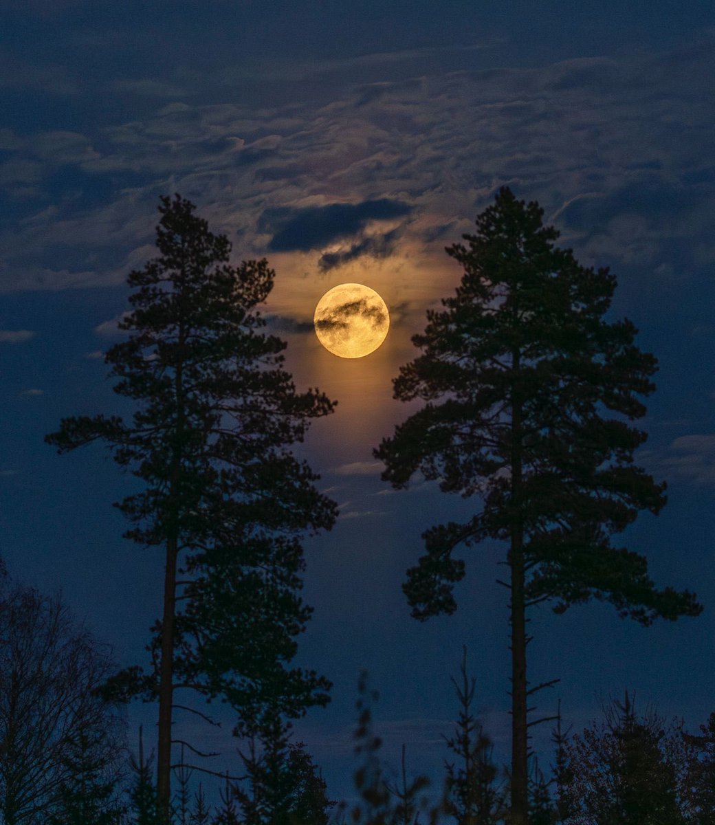 Sampo Manninen tweet media