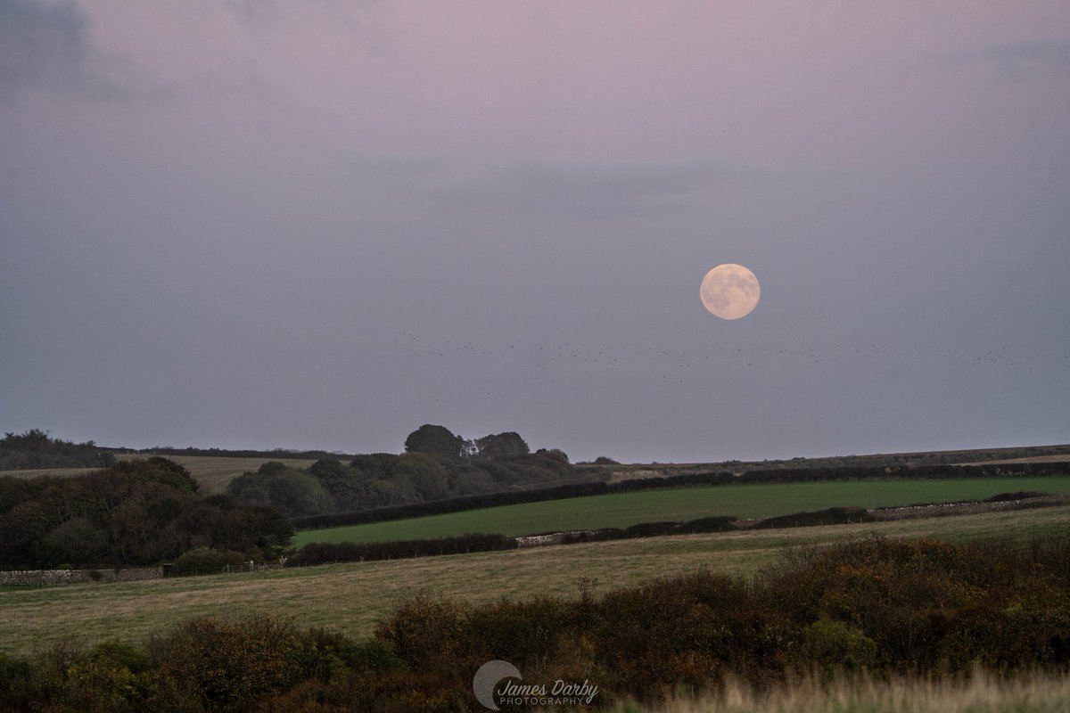Tonight's Hunter's supermoon from Southerndown:) <a href="/Ruth_ITV/">Ruth_TV</a> <a href="/kelseyredmore/">Kelsey Redmore</a> <a href="/DerekTheWeather/">Derek Brockway - weatherman</a> #supermoon #HuntersSupermoon #astrophotography #Wales #NatureLover #nightphotography