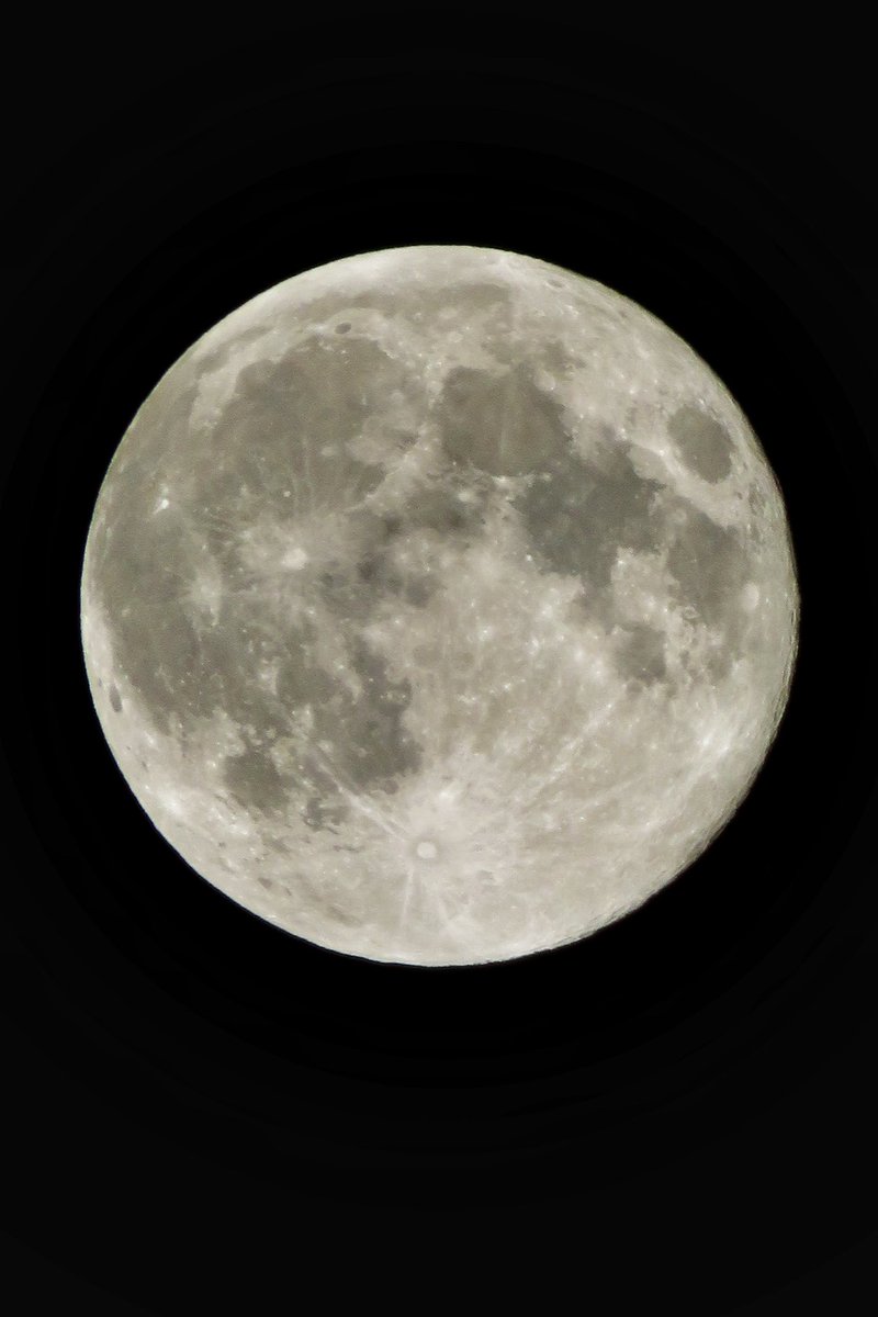 jamespargeter's tweet image. Hunter’s Moon tonight over SW London. Hard to tell with the naked eye if it was bigger, although it certainly did seem brighter than usual. Forever grateful for my amazing camera..! 🌕🙏😍
.
#compactcamera #zoomlens #handheld #notripod #canonphotography