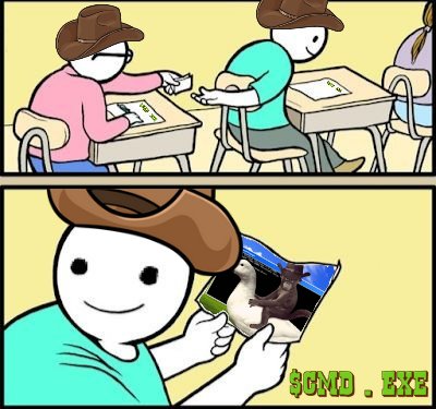 walrus ᵍᵐ tweet media